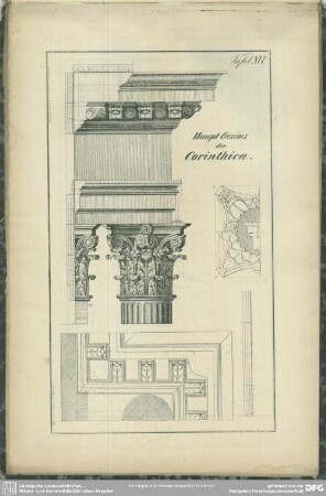 Tafel XVI. Haupt-Gesims der Corinthica