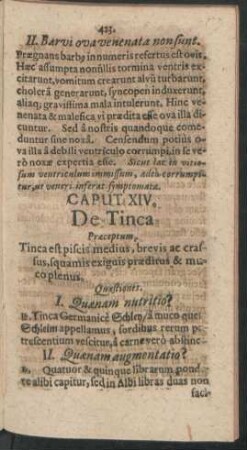 Caput XIV. De Tinca