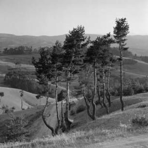 Landschaftsbild der bulgarischen Rhodopen