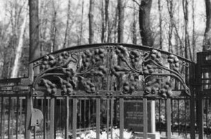 Spreetal-Burghammer. Eiserner Zaun auf dem Friedhof, vermutlich ein Produkt des ehem. Eisenhammerwerkes