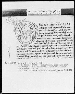 Augustinus, Sermones 64 de evangeliis Sancti Matthaei, Lucae et Joannis — Initiale D (ominus noster) aus Vogel und Drache, Folio 78verso