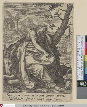 [Acedia]