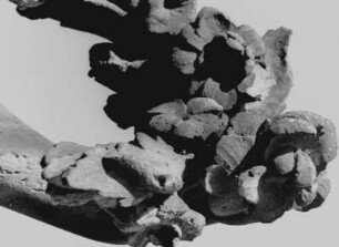 Röhrsdorf, Schloss, Flora vor der Orangerie, Detail