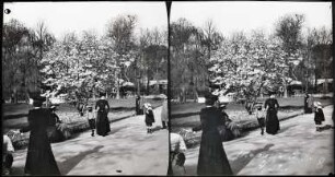 Paris. Jardin des Champs-Élysées