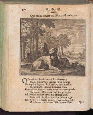Canis - Der Hund
