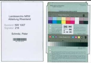 Entnazifizierung Peter Schmitz , geb. 20.03.1896 (Strassenmeister)