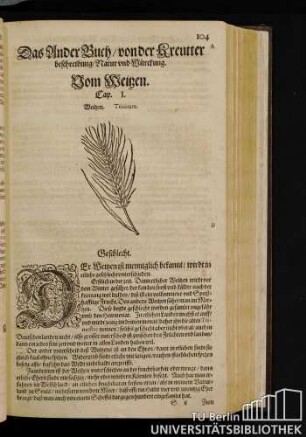 II. Das ander Buch / von der Kreutterbeschreibung / Natur und Wuerckung.