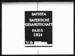Faltermeier, Therese, aus Ponholz, Bezirksamt Stadtamhof, Köchin in Paris, mit Freyler, Theodor, aus Basel