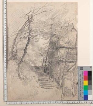 Waldweg mit Treppe