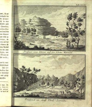 Tab. XLIII. Prospect eines Felsens auf der Ebene Warsân. Prospect in dem Thal Israitu.