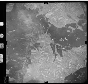 Luftbild: Film 81 Bildnr. 445
