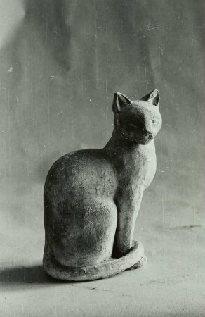 Katze