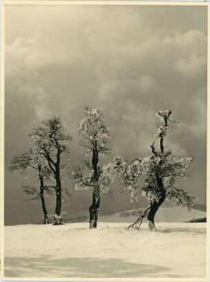 Winter im Schwarzwald