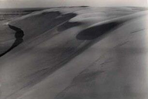 Sanddünen, Kurische Nehrung