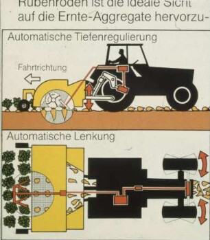 Übersicht: Zuckerrübe, Zweiphasiges Ernteverfahren, Frontköpfer