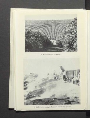 8. Kaffeeplantage in Brasilien 9. Kaffeeverbrennung in Brasilien in den 30er Jahren