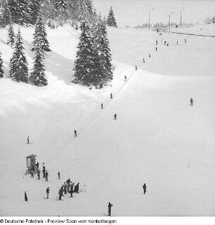 Wintersport (Skilaufen und Eisschnelllauf)