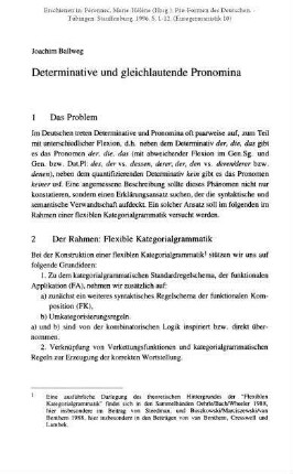 Determinative und gleichlautende Pronomina