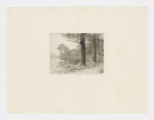 Landschaft mit See