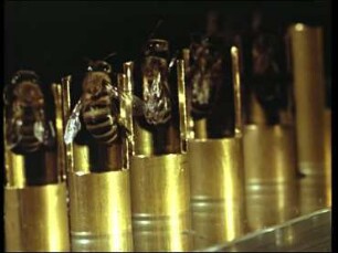 The Proboscis Reflex Behaviour of the Honeybee - The Conditioning of Odours and Their Treatment in the Brain