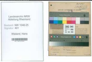 Entnazifizierung Hans Wieland , geb. 30.11.1909 (Maler)