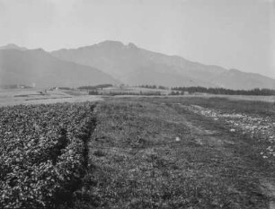 Landschaft : Blick über eine Landschaft mit einem Feld im Vordergrund und Bergen im Hintergrund