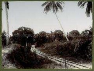 Bahntrasse der Ugandabahn nach Bu-Bu-Bu, Britisch-Ostafrika