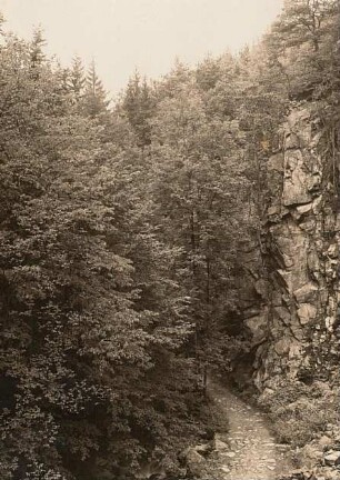 Rochsburg: Brausetal, Felsriff