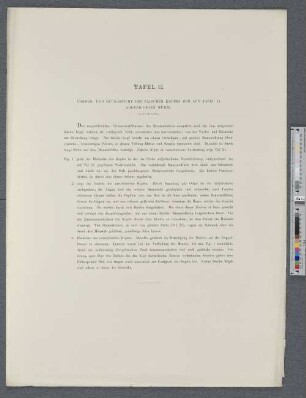 Tafel 12. Vorder- und Rückansicht des falschen Kopfes der auf Tafel 11 abgebildeten Mumie.