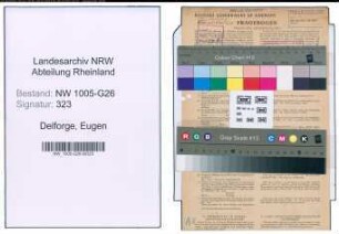 Entnazifizierung Eugen Delforge , geb. 03.07.1888 (Steuerberater)