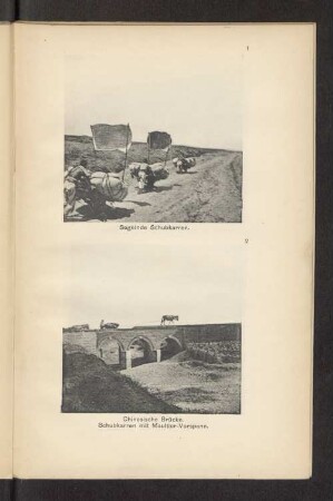 Chinesische Brücke. Schubkarren mit Maultier-Vorspann.