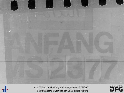 MF Mau 2377