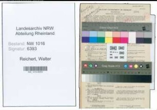 Entnazifizierung Walter Reichert , geb. 16.11.1894 (Lehrer)