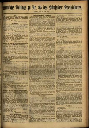 Zweite Ausgabe vom Samstag, den 12. Juli 1919.