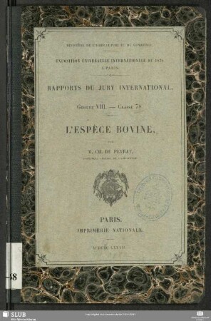 Rapport sur l'espèce bovine