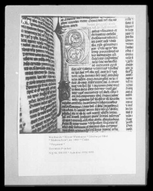 Lüneburger Bibel — Zierinitiale P (aulus)