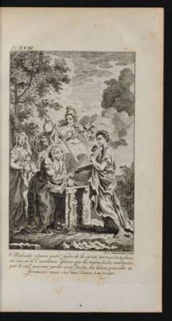 Pl. XVIII.