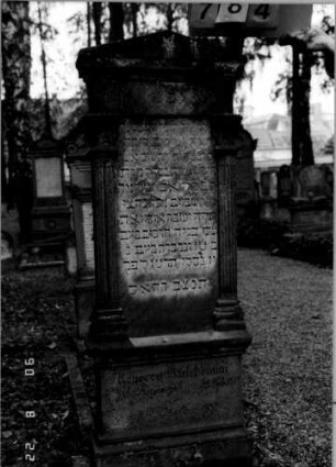 Grabstein 784