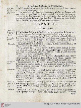Caput XI: De Intestinis