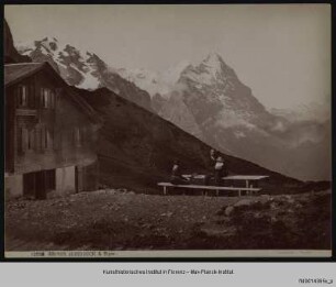 Panorama mit Eiger