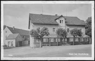 Moritzburg. Auer