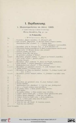 I. Bepflanzung