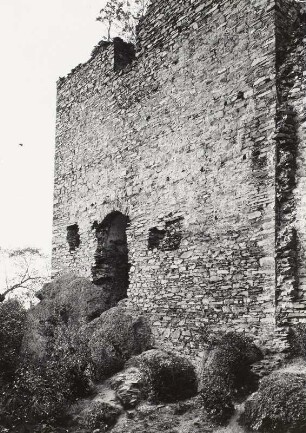 Ruine Bergstein