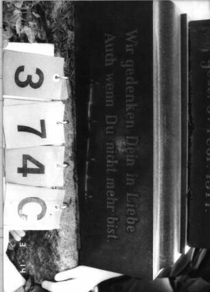 Grabstein 374 (Index: 100093485) Maße HxBxT: 249x50x50 cm Symbolik: (Leviten-)Kanne Besonderheit: Doppelgrab für Eheleute: Grabstein 374C