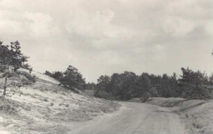 Moräne im Wald in der Nähe von Burg bei Hoyerswerda : Krajina wokoło Bórka blisko Wojerec