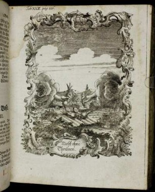 Tab. XXIII. pag. 226.