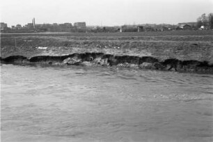 Ausgespültes Ufer : Das durch Hochwasser ausgespülte Ufer der Weißen Elster