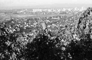Freiburg, St. Georgen: Vom Rebberg (Kapelle) auf Ortsteil mit Hochhäusern Weingarten