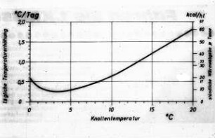 Temperatur und Wärmeabgabemenge bei zunehmender Knollentemperatur