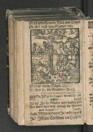 Kurze Betrachtung Von dem bitteren Leyden/ Sterben und Begräbnis Jesu Christi/ ...